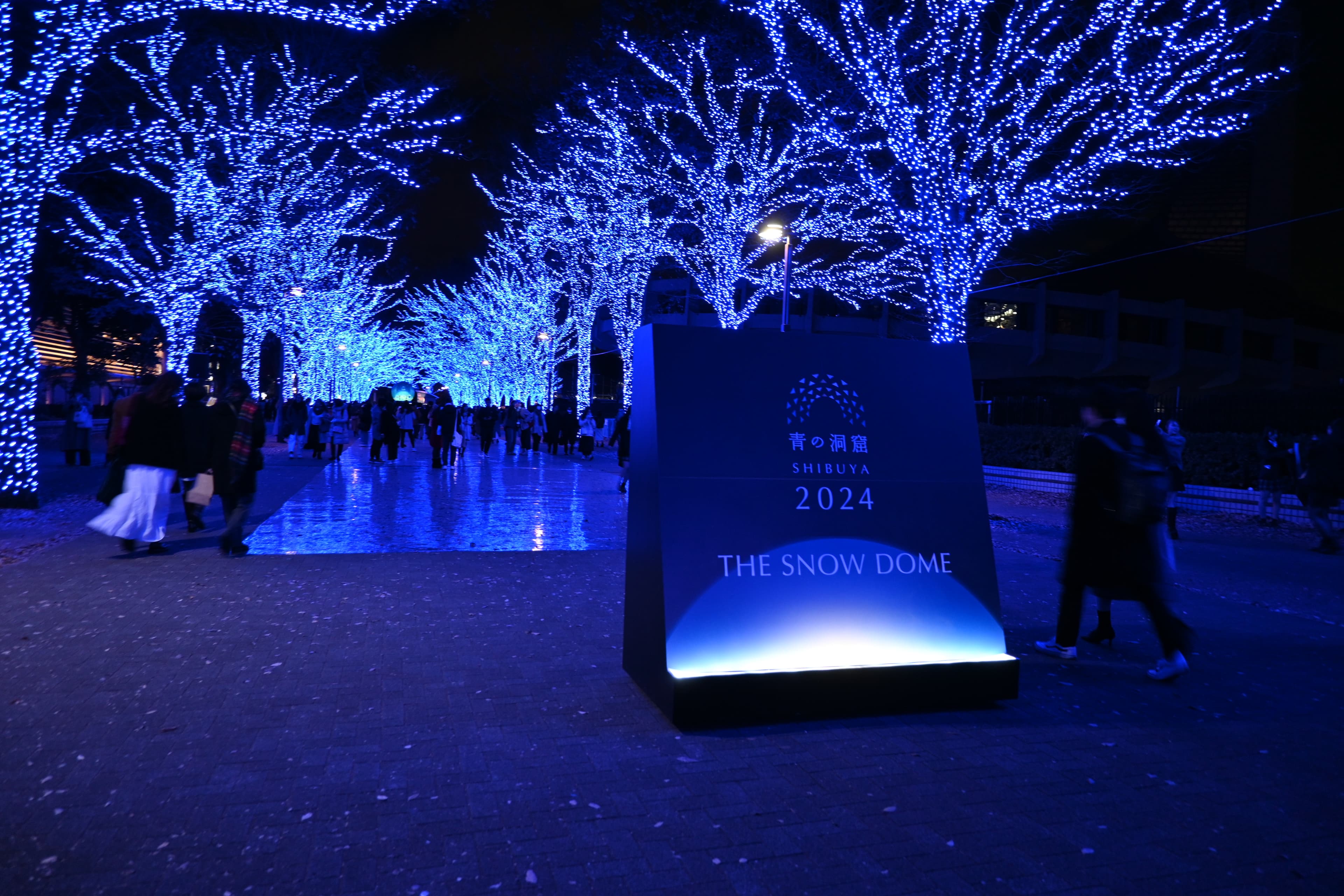A photo of the Aoi no Doukutsu illumination.