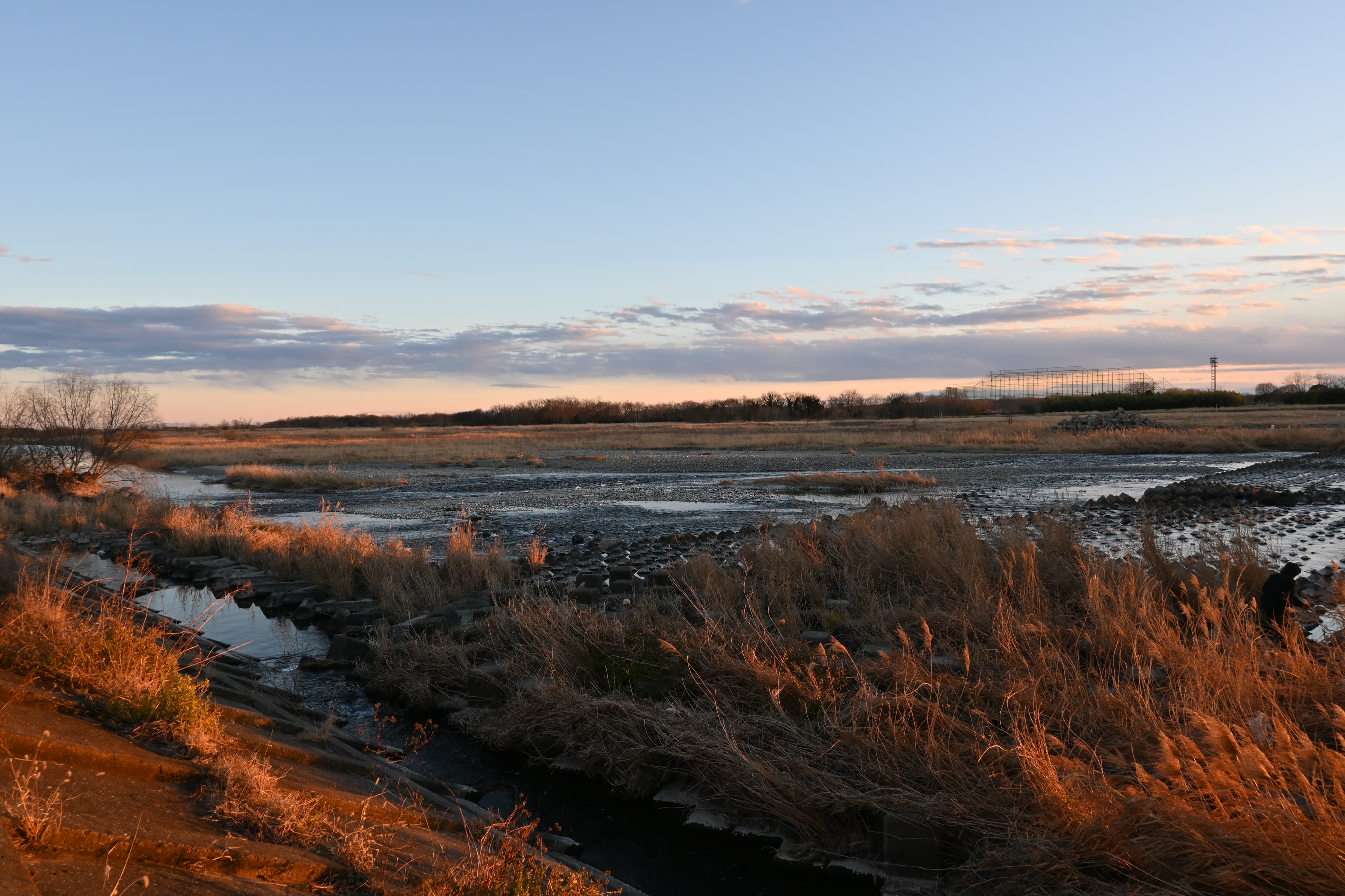 A photo taken along the Arakawa riverbank in Kumagaya.